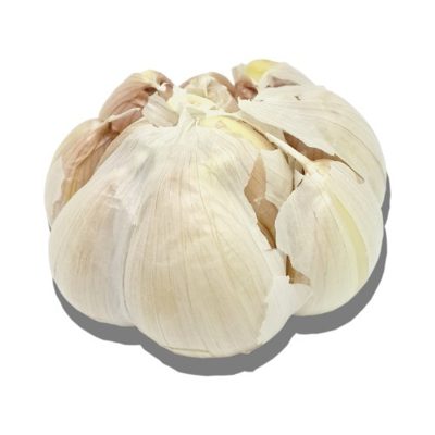 Ajo