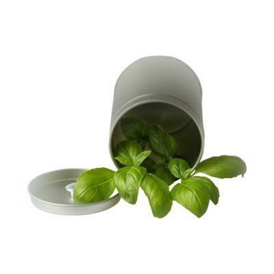 Albahaca