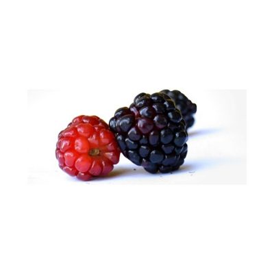 Blackberries (Zarzamora)