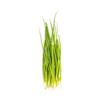 Cebollina delgada (Chives)