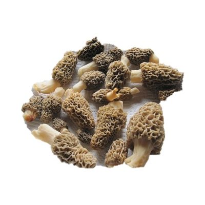 Hongos (Morel, Oyster, Porcini)