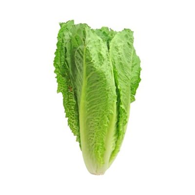 Lechuga (Varios tipos)