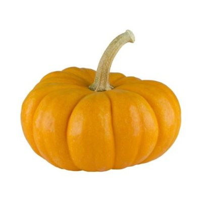 Zapallo